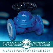 evb1994