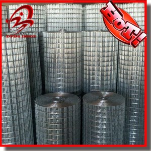 Galvanized After Welded Wire Mesh