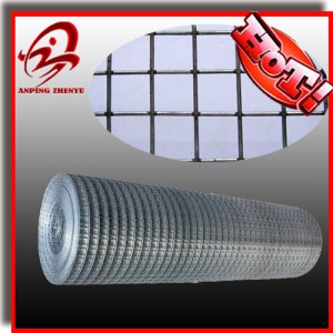 2x2 galvanized welded wire mesh