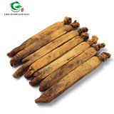 Korean Red Ginseng