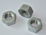 Hex Nuts