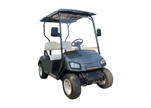 2 Seater Golf Cart