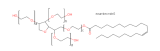 Polysorbate 81