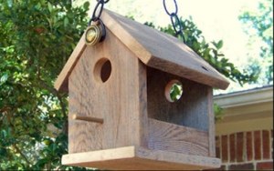 Bird Feeder