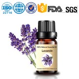 Vente en gros d'huile essentielle de lavande hybride - Lavandula x intermedia 100% natu...