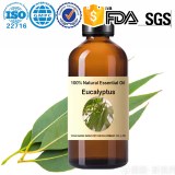 Huile essentielle d'eucalyptus en gros en usine - Eucalyptus 100% pure et naturelle OEM...