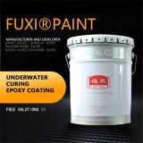 Underwater Curing Epoxy Coating