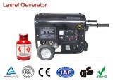 170F Engine Natural Gas Powered Generator Max Power 3kW Biogas Single / Three Phase