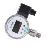 Digital Steam Pressure Gauge