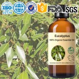 Huile Essentielle d’Eucalyptus 100 % Bio – Pureté et Qualité Supérieures