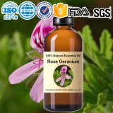 Vente en gros d'huile essentielle de géranium rosat (Pelargonium graveolens) 100% natur...