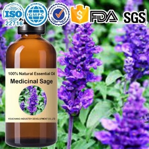 Vente en gros d'huile essentielle de sauge médicinale - Salvia officinalis 100% naturelle