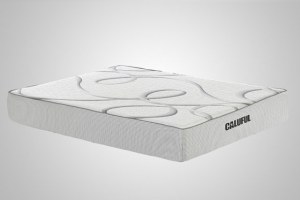 10-Inch Foam Memory Mattress