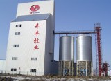 Steel Silos for Grain Storage