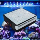 144W LED Aquarium Lumière