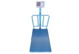 Heavy Duty Platform Scale