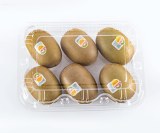 Disposable Clamshell Clear Rectangular Plastic Fruit Box /Containers