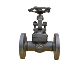 FORGED STEEL GLOBE VALVES