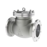 Check Valves