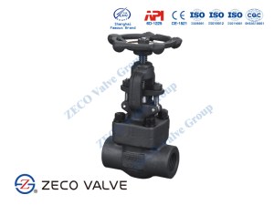 Forged Steel Gate Valve