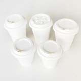 Biodegradable Cups And Lids