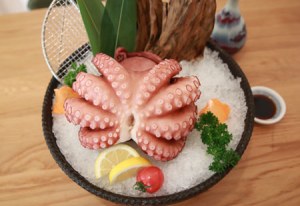 WHOLESALE OCTOPUS