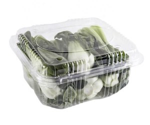 Best Selling Keeping Fresh For Fridge Vegetable Rectangular Plastic Food Container