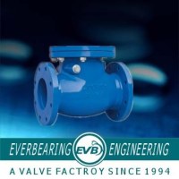 Cast Iron Check Valve