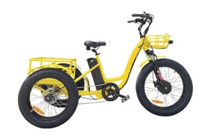 Electric Cargo Trike