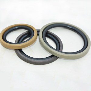 DSH Seals producing teflon seals filled bronze for replacing hallite kastas piston seals