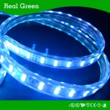 220V 5050 60LEDs/Meter waterproof Flexible SMD LED Strip Light