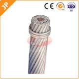 Aluminum Alloy Conductor Steel Reinforced (AACSR)