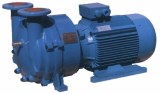 2BV Liquid Ring Vacuum Pump