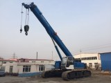 Telescopic Crane 25T on Crawler chassis