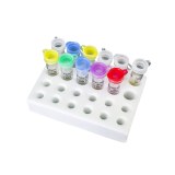 Diagnostic Kit for Quantification of Hepatitis B Virus DNA (PCR-Fluorescence Probing)