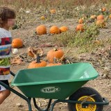 TUFX POLY GARDEN AND HOME WHEELBARROW