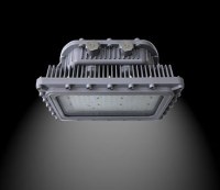 40w Led Flood Light