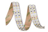 3528 240LED/M CCT Adjustable LED Strip