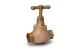 Bronze Globe Valve