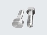 Molybdenum Screw.