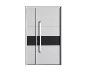 Pivot Door