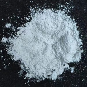 Alumina Polishing Powder 0.3µm