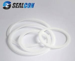 PTFE Seal