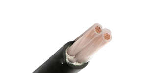 2 Cores Power Cable (XLPE Insulated)