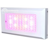 300W LED élèvent la lumière