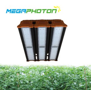 Haut LED Grandir la lumière 300w