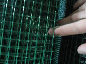 Galvanized / PVC Coated Welded Wire Mesh (20years factory & ISO9001 Approved)