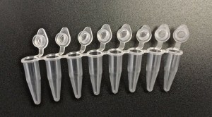 12 Strip PCR Tubes With Individual Strip Caps