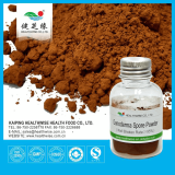 Reishi Spore Powder