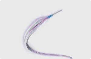 Drug Coated PTA Balloon Catheter